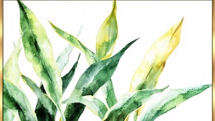 水彩绘绿色植物清新画面