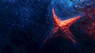 深海中闪耀的梦幻海星