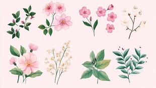 粉色花卉植物插画集合