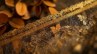 金色蕾丝花边细节特写
