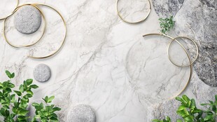 大理石上的金属环与绿植