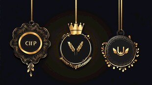 黑金质感奢华品牌标识展示