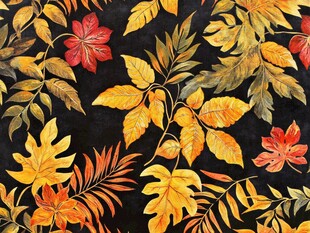 秋日斑斓树叶图案纹理