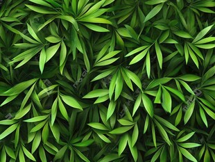 翠绿竹叶无缝背景图案