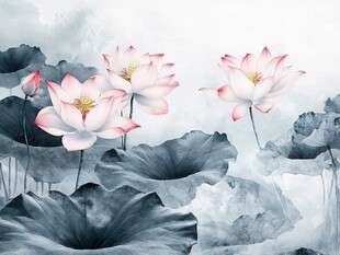 水墨荷花图 清雅自然之美