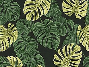 热带龟背叶图案背景