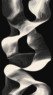 黑白线条抽象艺术图案