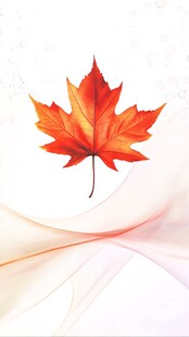 一叶知秋 唯美枫叶背景图