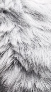 柔软银白毛绒纹理特写