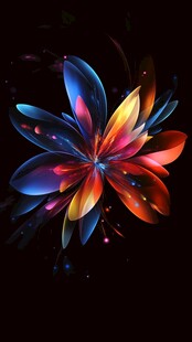 梦幻炫彩花朵绽放