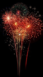 绚烂烟花绽放夜空