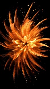 金色火焰花朵特效图