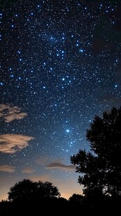 夜幕下璀璨星空与树影