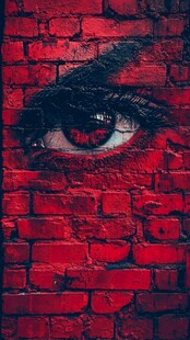 砖墙上的神秘眼眸