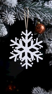 白色雪花圣诞装饰品