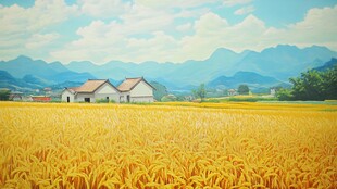 金色稻田旁的乡村景致