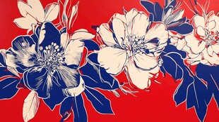 红底蓝白花卉图案设计