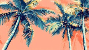 热带风情 绚丽的棕榈树景观