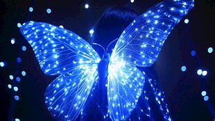 梦幻蓝蝶灯光艺术装置