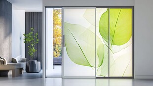 简约居室中的绿叶玻璃移门