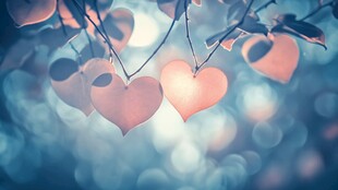 爱心挂饰营造浪漫氛围