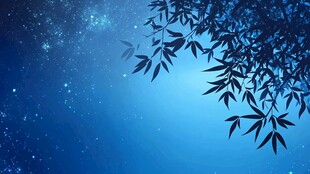 月夜竹影星空背景图