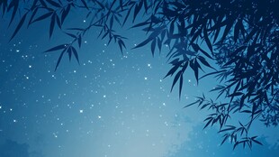 月夜竹影 静谧星空意境
