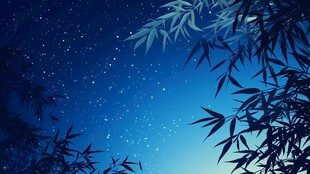 月夜竹林星空梦幻美景