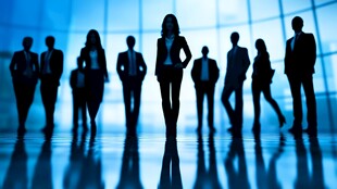 商务团队的职场风采