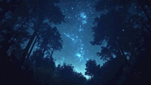 森林星空下的梦幻夜景