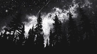 森林之上的璀璨星空