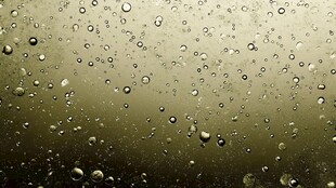 水珠覆于表面的微观景象