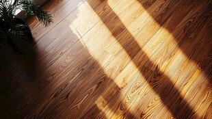 阳光洒落木地板温馨场景