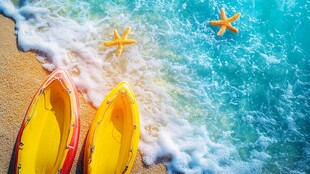 海滩上的皮划艇与海星