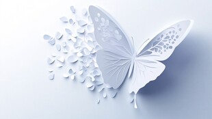 纸艺蝴蝶 散落梦幻碎片