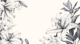 黑白花卉边框插画