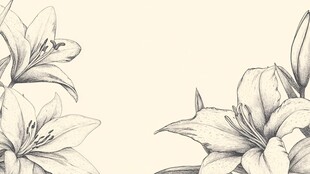 手绘百合花装饰图案