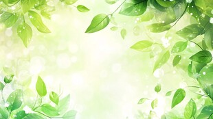 清新绿叶背景图