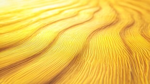 金色波浪纹理 动感视觉