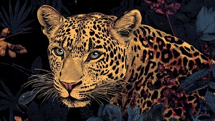 豹的丛林奇幻肖像