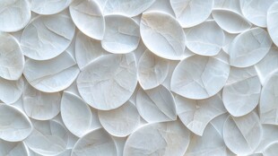 白色花瓣纹理墙面装饰