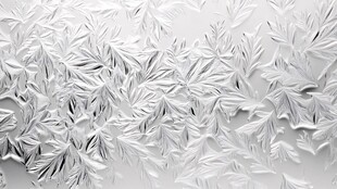 窗上冰花 自然的艺术纹理