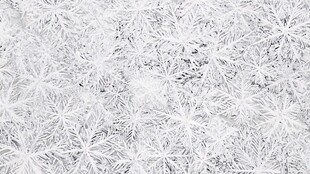 精致雪花纹理背景图