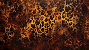 斑驳豹纹纹理背景图