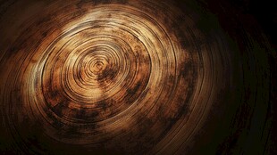 年轮纹理 神秘深邃的木旋