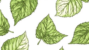 手绘绿叶无缝图案背景