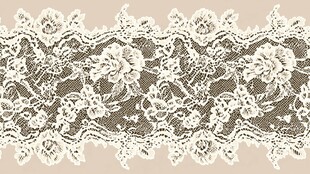 精美白色花卉蕾丝花边