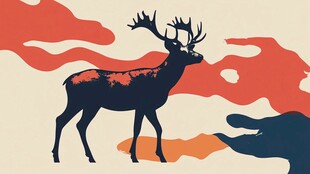 鹿行于绚烂天地间