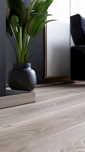 室内浅色木地板与绿植搭配