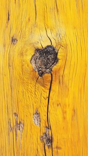 黄色木纹中的树结特写